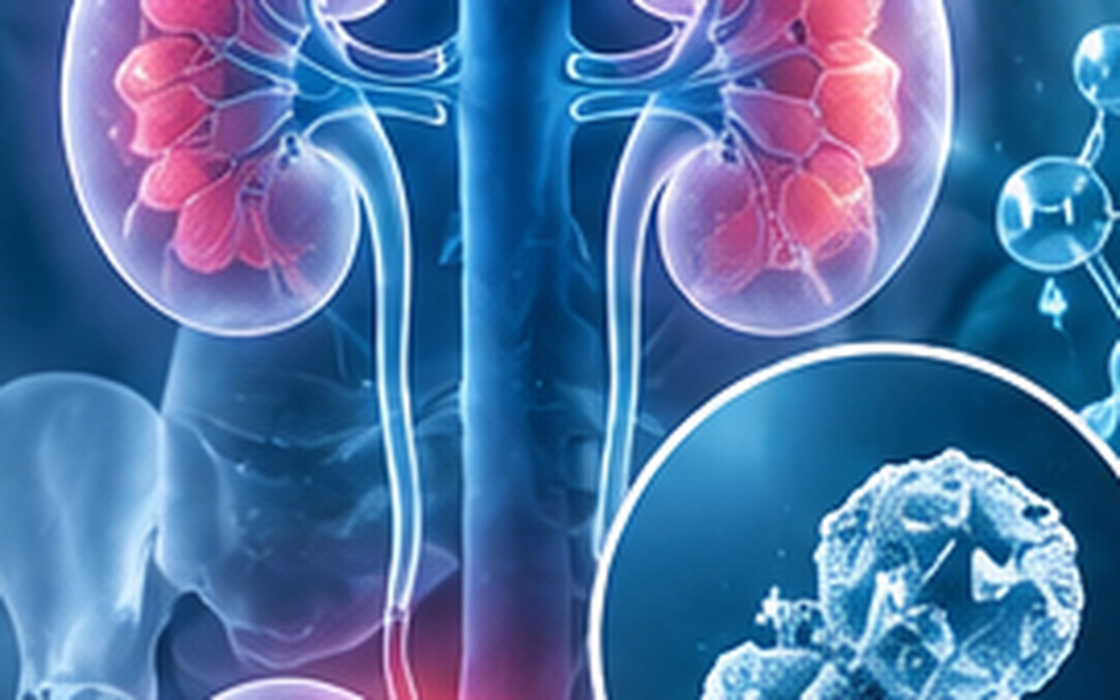 A Pilot Randomized Controlled Trial and Multi-Omics Analysis of Electrolysed Alkaline Water: Impacts on Gut Microbiota and Metabolic Signatures in Hyperuricemia