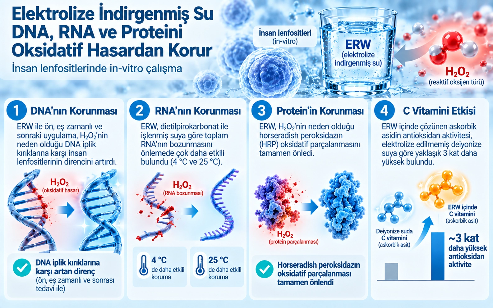 Electrolyzed-reduced water protects against oxidative damage to DNA, RNA, and protein