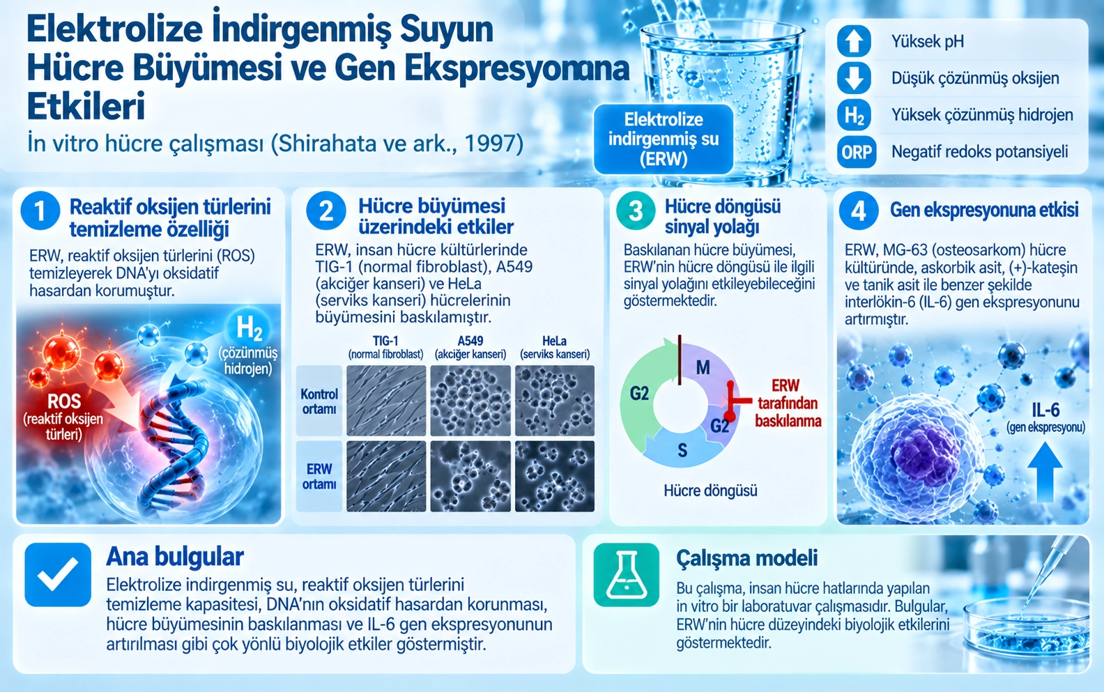 Electrolyzed Reduced Water Which Can Scavenge Active Oxygen Species Supresses Cell Growth and Regulates Gene Expression of Animal Cells