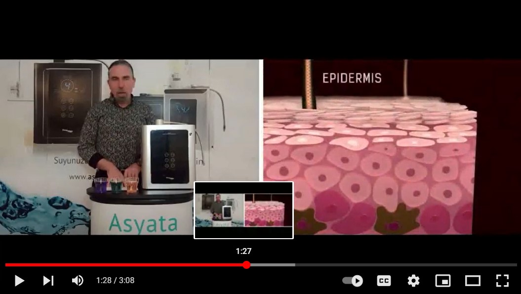 Alkali İyonize Suyun Kozmetik Kullanımı