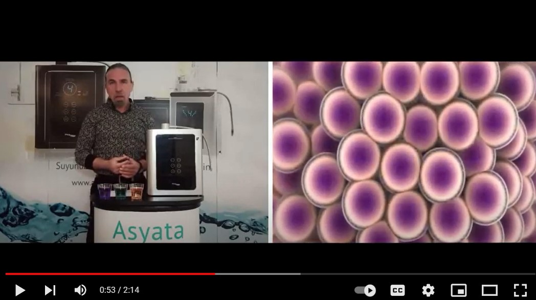 Alkali İyonize Su ve Bağışıklık Sistemi