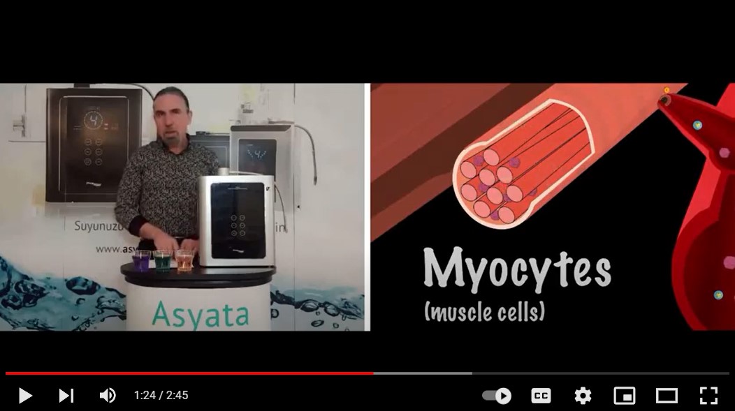 Alkali İyonize Su ile Kilo Verme İlişkisi