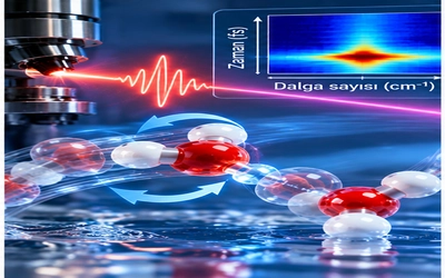 Ultrafast Hydrogen-Bond Dynamics in the Infrared Spectroscopy of Water