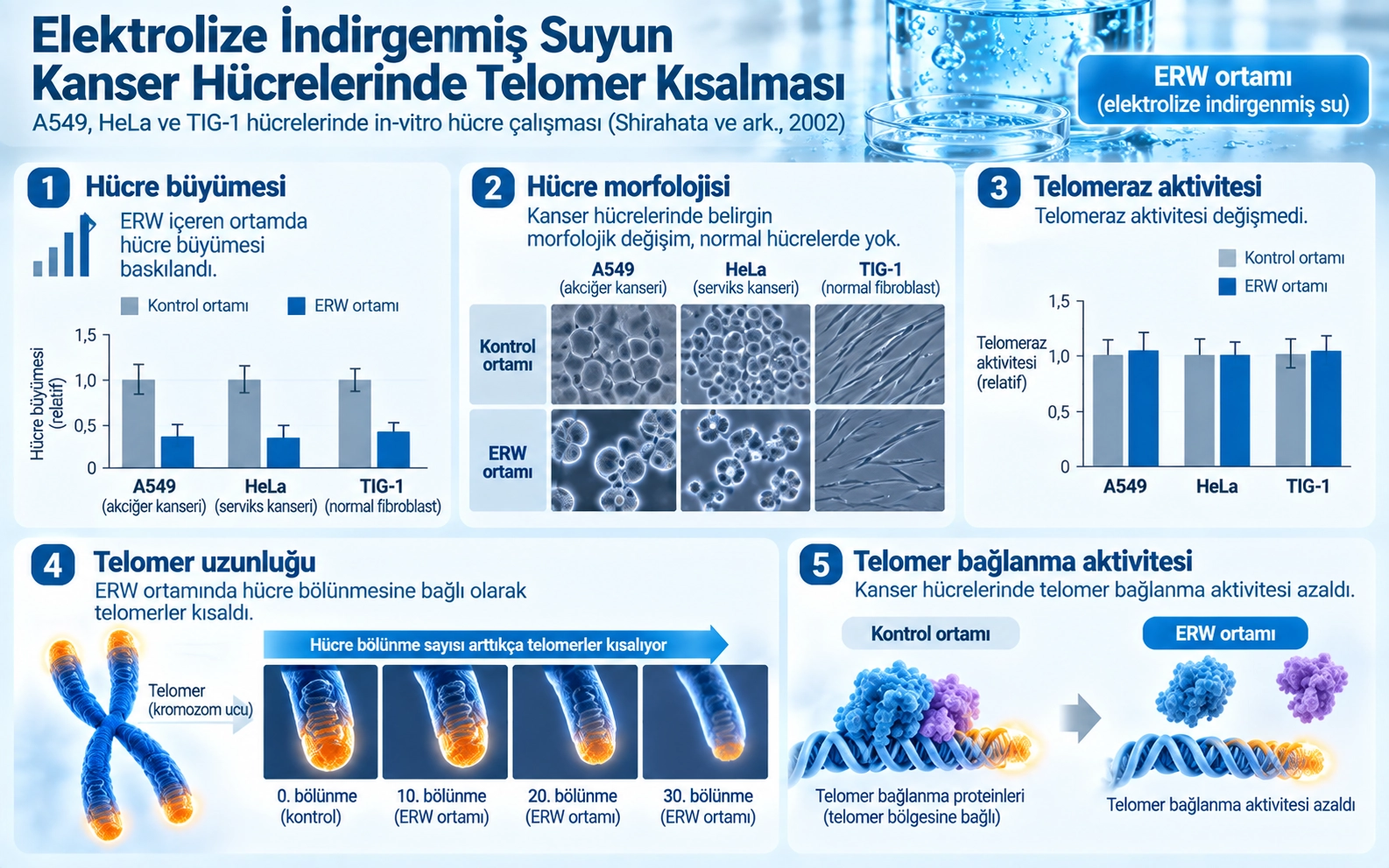 Telomere Shortening in Cancer Cells by Electrolyzed-Reduced Water