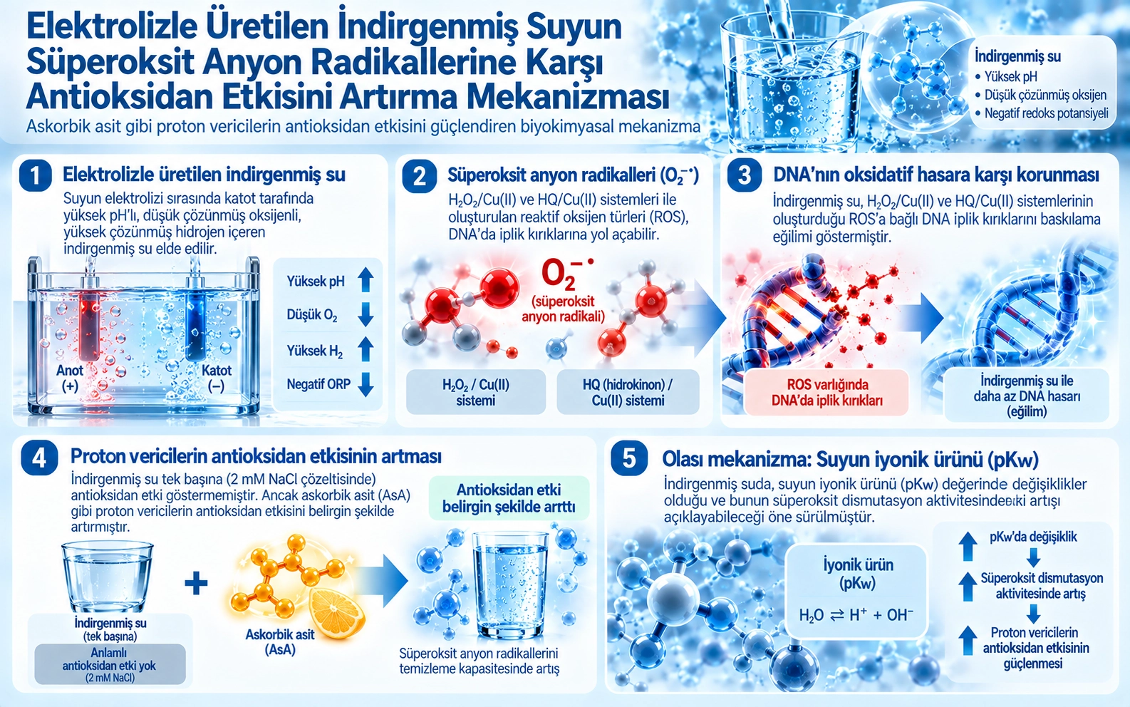 The mechanism of the enhanced antioxidant effects against superoxide anion radicals of reduced water produced by electrolysis